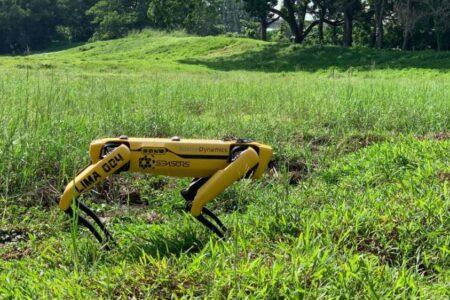 Singapore deploys robot ‘dog’ to encourage social distancing over coronavirus