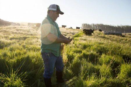 Food site Epicurious to stop publishing recipes with beef