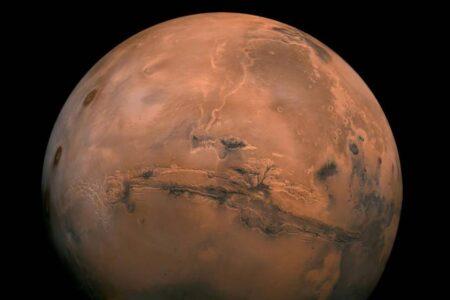 Elon Musk on Mars travel: ‘It’s uncomfortable. It’s a long journey. You might not come back alive.”